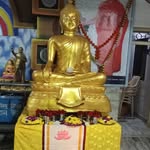 bhagat_priyanka29 profile picture