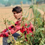bhai.salau profile picture
