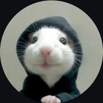 bhanu3481 profile picture