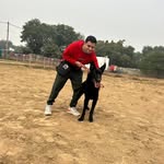 bhanupratabsingh1995 profile picture
