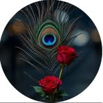 bharat_dadich profile picture