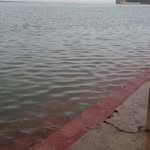 bhartiye_andhbht profile picture