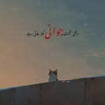 bhat_amira_09 profile picture