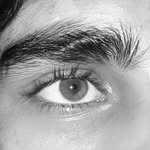 bhat__huzaif08 profile picture