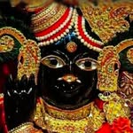 bhatiabulbul profile picture