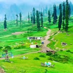 bhatjaveed000 profile picture