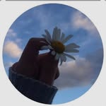 bhavika9396 profile picture