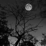 bhavya__189 profile picture
