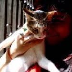 bhavyaarora profile picture