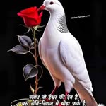 bhunesh.kumar.319452 profile picture