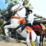 bhuraram029 profile picture