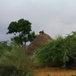 bhuttsaapddihaar profile picture