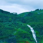 bhuwansingh634 profile picture