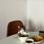 biancabiancak profile picture