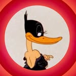 bibbymoynihan profile picture