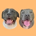 big.head.boys profile picture