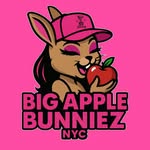 bigapplebunnieznyc profile picture