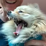 bigbluemuppet profile picture