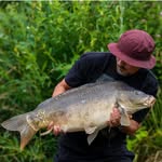 bigcarponly_bco profile picture