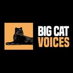 bigcatvoices profile picture
