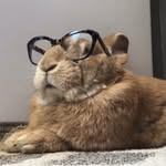 big_cocoa_puff profile picture