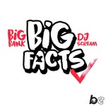 bigfactspod profile picture