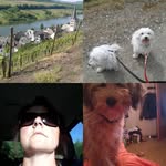 biggibert profile picture