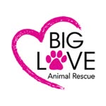 bigloveanimalrescue profile picture