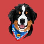 bigmacbernie profile picture