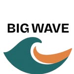 bigwaveindustries profile picture