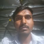 bijesh81280 profile picture