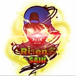 bikashsahi profile picture