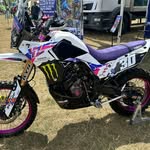 bikerboyz_25 profile picture