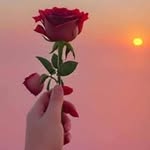 bilawal14539 profile picture