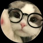 billa_badmash_7 profile picture