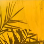 billafon_ profile picture