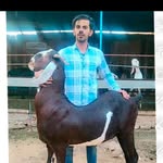 billal.ahemad profile picture