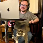 bill_and_cats profile picture