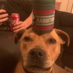 billstanwix profile picture