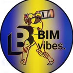 bimvibes profile picture