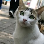 bing_oo26 profile picture