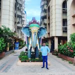 bipintripathy25 profile picture