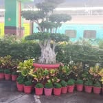 biplabbiplab4525 profile picture