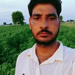 birbal.siyag.986 profile picture