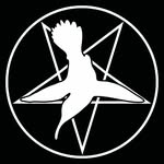 bird.person666 profile picture
