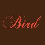 birdexperiential profile picture
