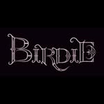 birdie.portraits profile picture