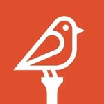 birdies901 profile picture