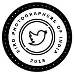 birdphotographers_of_india profile picture