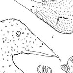 bird_snake_ profile picture